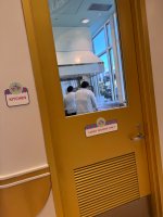 IMG_8284.jpeg