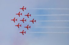 IMG_9952.jpg