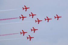 IMG_9991.jpg