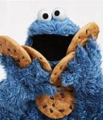 Image result for cookie monster