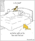 FB_IMG_1757859257406.jpg