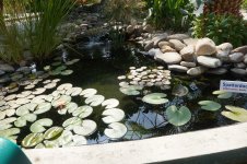 DSC08554.JPG
