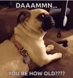 IMG_2283.gif