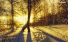 sunrise-in-the-white-forest-7086-1280x800.jpeg