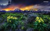 sunset-on-the-mountains-6989-1280x800.jpeg