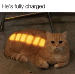 1758709003063.png