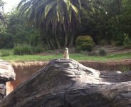 IMG_0489.jpeg