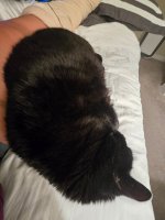 20250926_215043.jpg