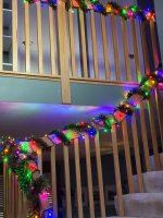IMG_1374.jpeg