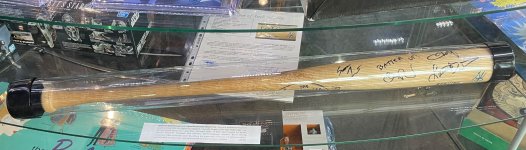 IMG_2945.jpeg