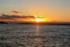 IMG_1897~2.JPG