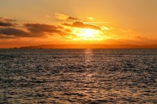 IMG_1912~2.JPG