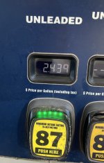 IMG_2978.jpeg
