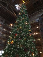 IMG_2018.jpeg