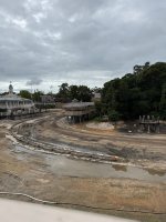 IMG_6533.jpeg