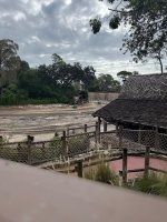 IMG_6526.jpeg