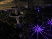 IMG_3122.jpeg