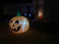 IMG_3134.jpeg