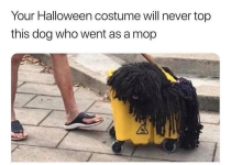 1760352108845.png