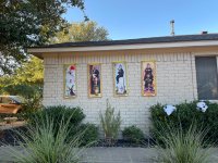 IMG_3172.jpeg