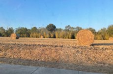 IMG_3275.jpeg