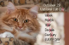 1761727496269.png 1761727496269.png