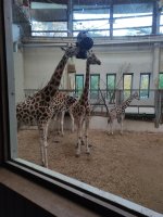 IMG_20251030_155214.jpg IMG_20251030_155214.jpg