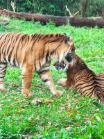 IMG_20251030_141156.jpg IMG_20251030_141156.jpg