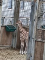 IMG_20251030_130134.jpg IMG_20251030_130134.jpg