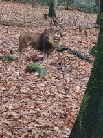 IMG_20251030_121906.jpg IMG_20251030_121906.jpg