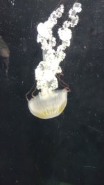 IMG-20251030-WA0009.jpeg IMG-20251030-WA0009.jpeg