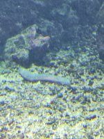 IMG_20251030_114920.jpg IMG_20251030_114920.jpg