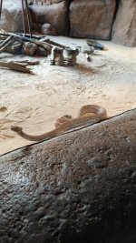 IMG-20251030-WA0029.jpeg IMG-20251030-WA0029.jpeg