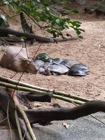 IMG_20251030_134229.jpg IMG_20251030_134229.jpg