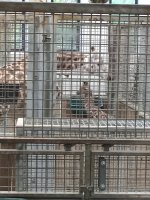 IMG_20251030_124353.jpg IMG_20251030_124353.jpg