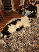 20251031_075821.jpg 20251031_075821.jpg