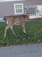 1000019687.jpg 1000019687.jpg