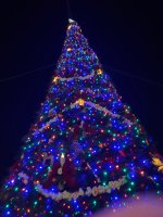 IMG_3464.jpeg IMG_3464.jpeg