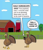 1763705211400.png 1763705211400.png