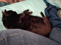 20251118_173932.jpg 20251118_173932.jpg