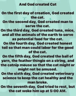 1763788867734.png 1763788867734.png