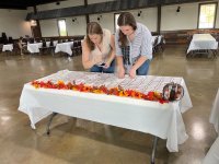 IMG_4117.jpeg IMG_4117.jpeg