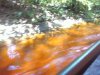 Picture0895.jpg