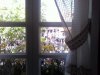 Picture0901.jpg