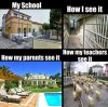 schoolPerspectives.jpg