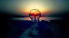 light-bulb-in-the-sunset-15775.jpeg