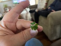 IMG_4346.jpeg IMG_4346.jpeg