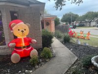 IMG_4497.jpeg IMG_4497.jpeg