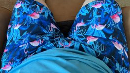 IMG_4537.jpeg IMG_4537.jpeg