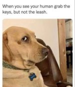 IMG_3974.jpeg IMG_3974.jpeg